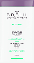 GESCHENK! Feuchtigkeitsmaske für trockenes Haar - Brelil Bio Treatment Hydra Hair Mask  — Bild N1