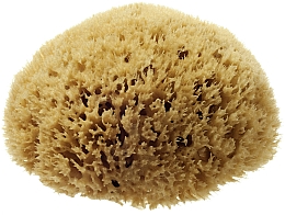 Natürlicher Meeresschwamm Honeycomb Sea Sponge 6.35 cm - Hydrea London — Bild N1