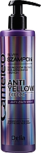 Anti-Gelb-Shampoo für blones, gebleichtes und graues Haar - Delia Cosmetics Cameleo Silver Shampoo — Bild N3