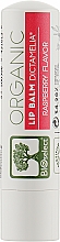 Düfte, Parfümerie und Kosmetik Lippenbalsam mit Himbeerduft - BIOselect Lip Balm