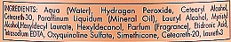 Oxidationscreme 2.1% - Inebrya Hydrogen Peroxide Milk — Bild N3
