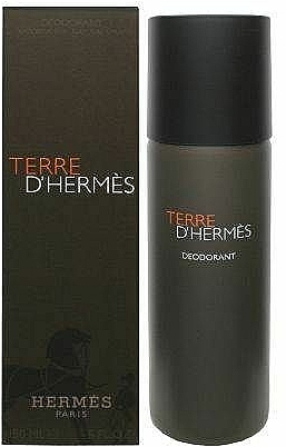 Hermes Terre d'Hermes - Deospray — Foto N2