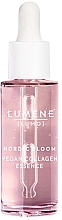 Düfte, Parfümerie und Kosmetik Hochkonzentriertes glättendes Serum - Lumene Lumo Nordic Bloom Vegan Collagen Essence