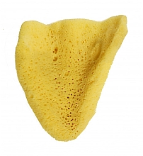 Düfte, Parfümerie und Kosmetik Badeschwamm Elephant Ear 11.43 cm - Hydrea London The Natural Sea Sponge Large