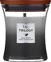 Düfte, Parfümerie und Kosmetik Duftkerze im Glas Warm Woods - WoodWick Hourglass Trilogy Candle Warm Woods