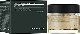 Gesichtsmaske aus Ton - Pyunkang Yul Calming Pore Clear Wash Off Pack — Bild N2