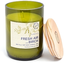 Düfte, Parfümerie und Kosmetik Duftkerze Frische Luft und Birke - Paddywax Eco Green Recycled Glass Candle Fresh Air + Birch