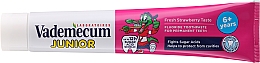 Kinderzahnpasta 6+ Jahre mit Erdbeergeschmack - Vademecum Junior Strawberry Toothpaste — Bild N2