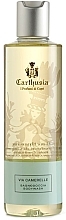 Düfte, Parfümerie und Kosmetik Carthusia Via Camerelle - Duschgel
