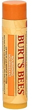 Düfte, Parfümerie und Kosmetik Lippenbalsam - Burt's Bees Nourishing Lip Balm with Mango Butter