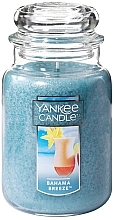 Düfte, Parfümerie und Kosmetik Duftkerze im Glas - Yankee Candle Bahama Breeze