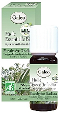 Düfte, Parfümerie und Kosmetik Organisches ätherisches Öl Eukalyptus - Galeo Organic Essential Oil Eucalyptus Radiata