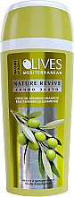 Regenerierendes Shampoo mit Olivenöl für trockenes und behandeltes Haar - Nature of Agiva Olives Hair Shampoo — Bild N1