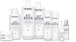 Bändigendes Shampoo für widerspenstiges Haar - Goldwell Dualsenses Just Smooth Taming Shampoo — Bild N2