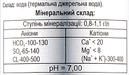 Thermalwasser - Clean & Sujee Thermal Water SPA Treatment — Bild N5