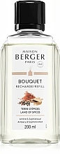 Maison Berger Land Of Spices Reed Diffuser Refill - Raumerfrischer — Bild N1