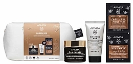 Düfte, Parfümerie und Kosmetik Abschminkpad-Set - Apivita Queen Bee Rich Texture (f/cr/50ml + clean/milk/50ml + f/mask/2x8ml + pouch)