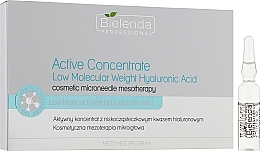 Aktives Konzentrat mit niedermolekularer Hyaluronsäure - Bielenda Professional Meso Med Program Active Concentrate With Low Molecular Weight Hyaluronic Acid — Bild N1