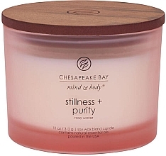 Düfte, Parfümerie und Kosmetik Duftkerze Stillness & Purity mit 3 Dochten - Chesapeake Bay Candle
