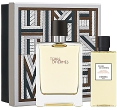 Düfte, Parfümerie und Kosmetik Hermes Terre d'Hermes - Duftset (Eau de Toilette 100ml + Duschgel 80ml) 