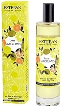 Esteban Terre D'Agrumes - Parfümiertes Spray für zu Hause — Bild N1