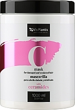 Maske für geschädigtes und geschwächtes Haar mit Ceramiden - Vis Plantis Mask For Damaged And Weakened Hair With Ceramides — Bild N2