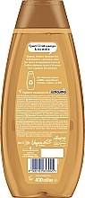 Shampoo für trockenes und strapaziertes Haar - Schauma Argan Oil & Repair — Bild N2