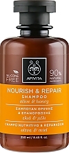 Reparierendes und pflegendes Shampoo mit Olive und Honig - Apivita Nourish And Repair Shampoo With Olive And Honey — Bild N1