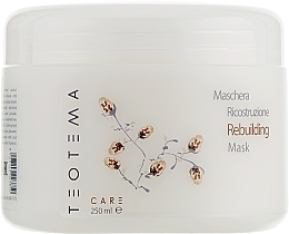 Düfte, Parfümerie und Kosmetik Maske für beschädigtes und chemisch behandeltes Haar - Teotema Care Rebuilding Mask