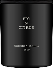 Düfte, Parfümerie und Kosmetik Cereria Molla Fig & Citrus - Duftkerze