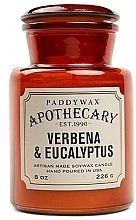Düfte, Parfümerie und Kosmetik Duftkerze im Glas - Paddywax Apothecary Artisan Made Soywax Candle Verbena & Eucalyptus