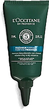 Düfte, Parfümerie und Kosmetik Essenz für das Haar - L'Occitane Aromachologie Purifying Freshness Rebalancing Scalp Essence