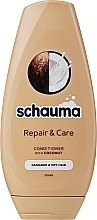 Düfte, Parfümerie und Kosmetik Conditioner für strapaziertes und trockenes Haar mit Kokos - Schwarzkopf Schauma Repair & Care Conditioner With Coconut