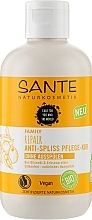 Regenerierende Haarlotion - Sante Repair Anti-Split-Intensive Hair Treatment Olive Oil & Pea Protein — Bild N1