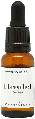 Aromatisches wasserlösliches Öl Oxygen - Ambientair The Olphactory Water Soluble Oil — Bild N1