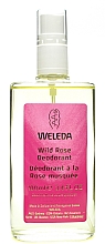 Deospray - Weleda Wild Rose Deodorant — Bild N2
