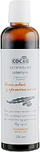 Düfte, Parfümerie und Kosmetik Shampoo aus Seifenwurzeln mit Ichthyol - COCOS