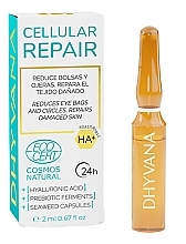 Düfte, Parfümerie und Kosmetik Gesichtsampullen - Dhyvana Cellular Repair Ampoules
