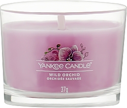 Duftkerzen-Set Wilde Orchidee - Yankee Candle Wild Orchid (candle/3x37g) — Bild N2