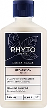 Düfte, Parfümerie und Kosmetik Revitalisierendes Shampoo für strapaziertes und brüchiges Haar - Phyto Repairing Shampoo Damaged, Brittle Hair