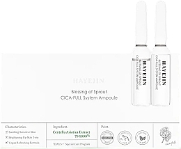 Düfte, Parfümerie und Kosmetik Ampullen für das Gesicht - Hayejin Blessing of Sprout CICA-Full System Ampoule
