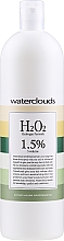 Düfte, Parfümerie und Kosmetik Entwicklerlotion 9% - Waterclouds H2O2 Vol 30