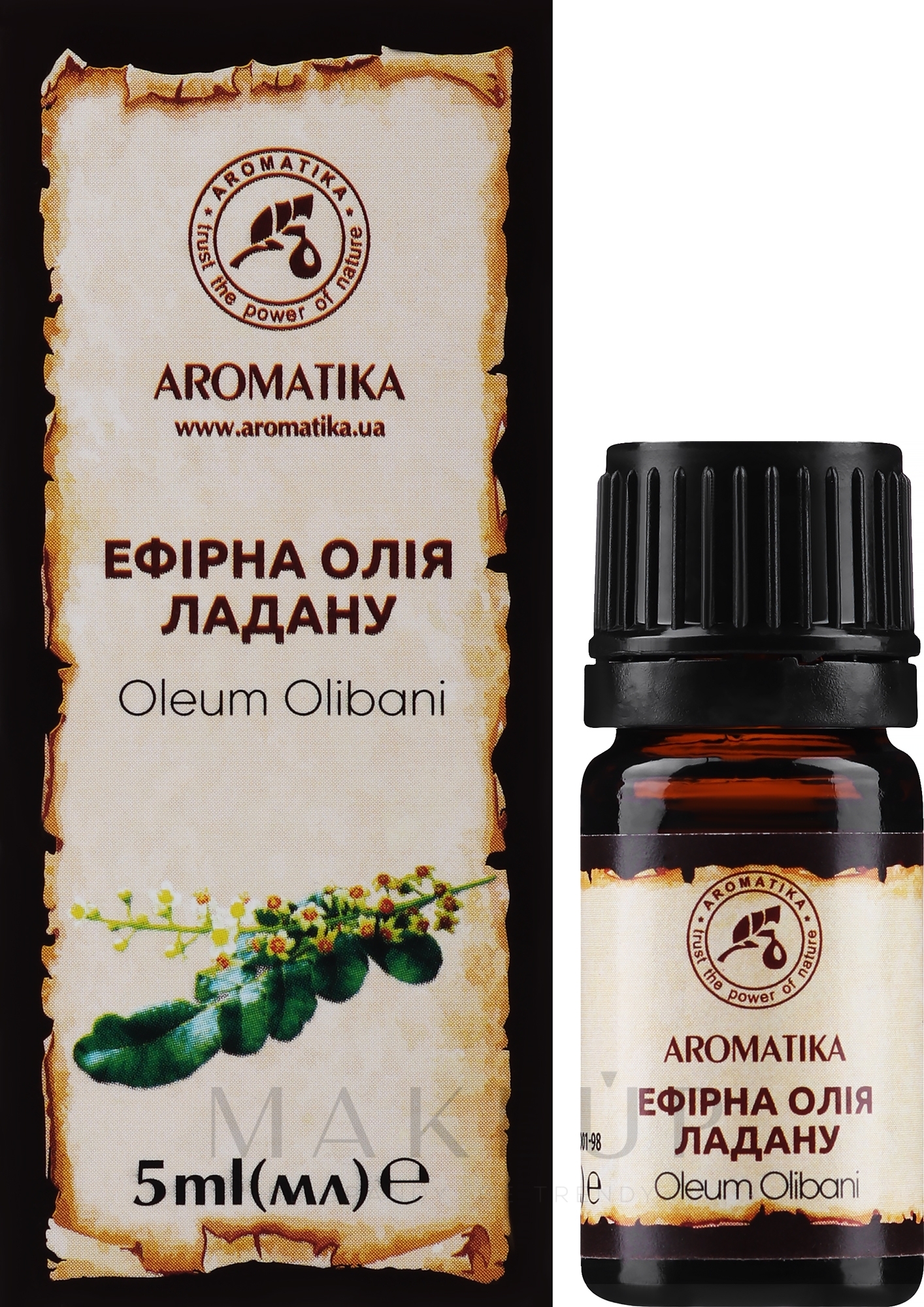 Ätherisches Bio Weihrauchöl - Aromatika — Bild 5 ml