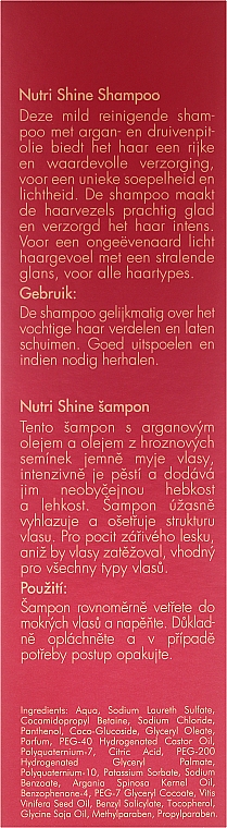Shampoo mit pflegendem Argan- und Traubenkernöl - Alcina Nutri Shine Shampoo — Bild N3