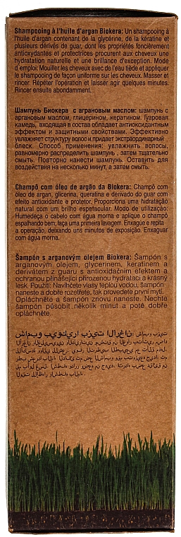 Shampoo mit Arganöl für trockenes und strapaziertes Haar - Salerm Biokera Argan Champoo — Bild N5