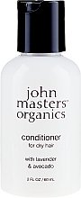 Intensive Haarspülung mit Lavendel und Avocado - John Masters Organics Lavender & Avocado Intensive Conditioner — Bild N1