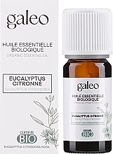 Organisches ätherisches Öl Zitrone - Galeo Organic Essential Oil Eucalyptus Citriodora — Bild N2