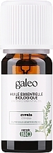 Düfte, Parfümerie und Kosmetik Organisches ätherisches Öl Zypresse - Galeo Organic Essential Oil Cypress