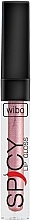 Düfte, Parfümerie und Kosmetik Lipgloss - Wibo Spicy Lip Gloss