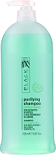 Düfte, Parfümerie und Kosmetik Seboregulierendes Shampoo mit Brennnessel und Zitronenöl für fettiges Haar - Black Professional Line Sebum-Balancing Shampoo